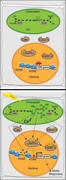 Fig. 6.