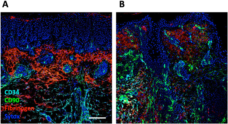 Figure 4: