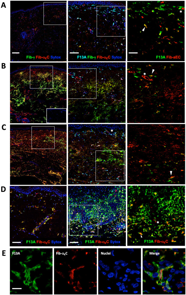 Figure 6: