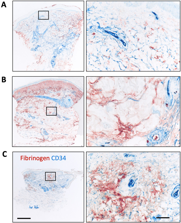 Figure 2: