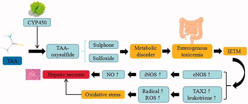 Figure 5.