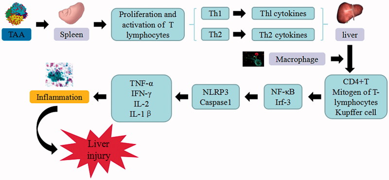 Figure 6.