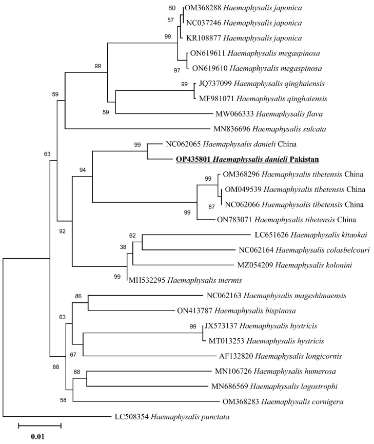 Figure 5