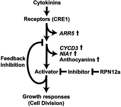 Figure 9.