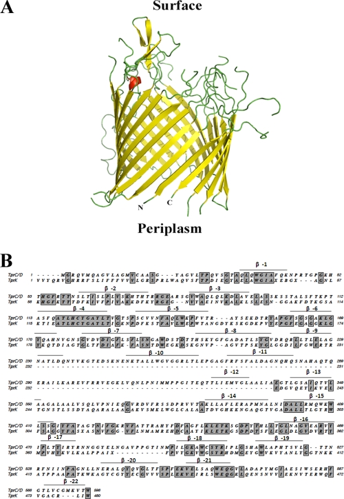 FIG. 10.