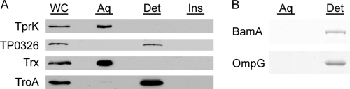 FIG. 9.