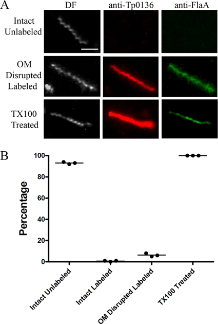 FIG. 8.