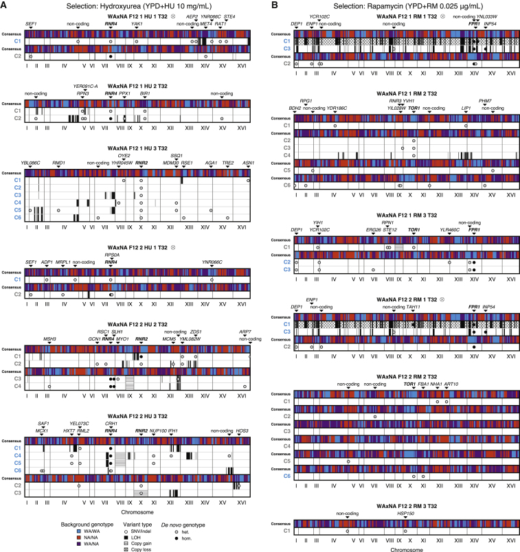 Figure 4