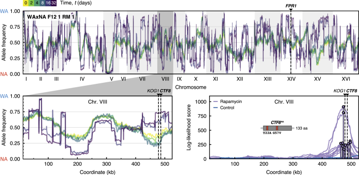 Figure 2