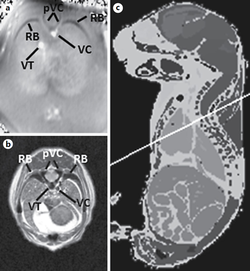 Fig. 7