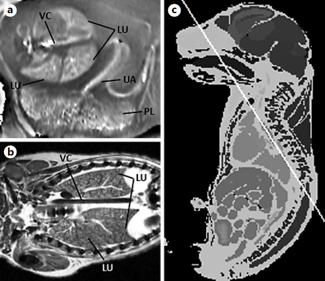 Fig. 6