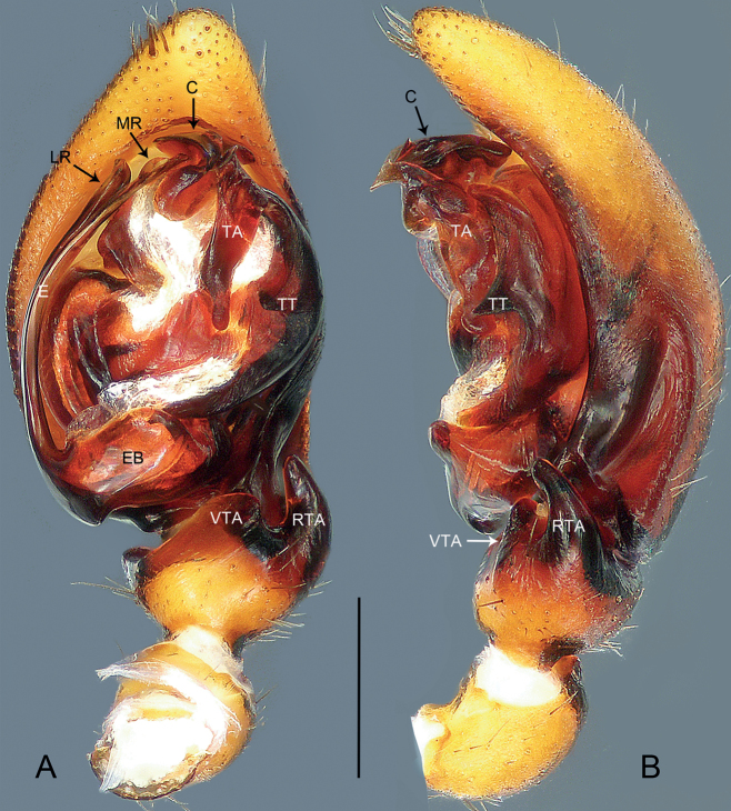 Figure 4.