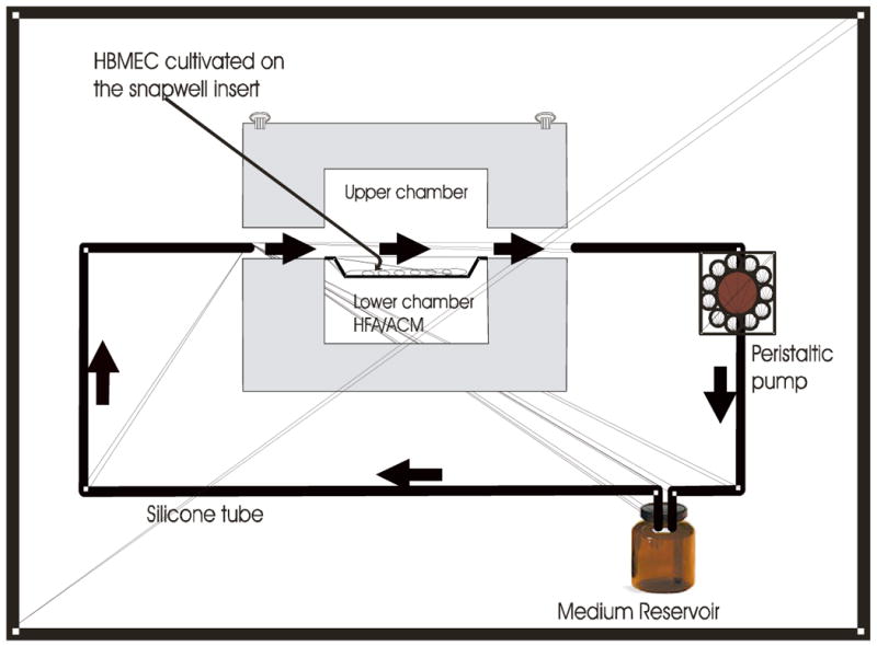 Fig.1