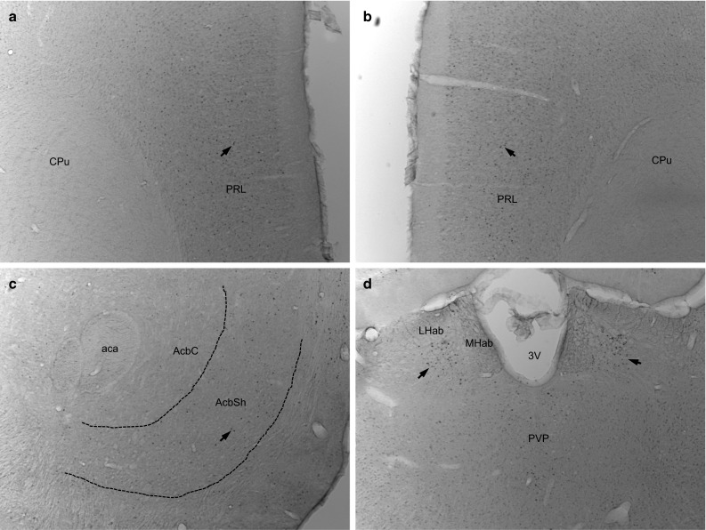 Fig. 5