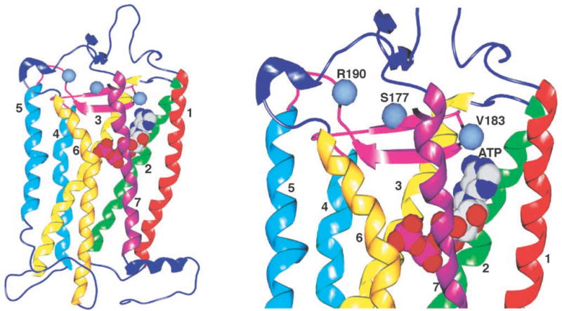 Fig. 8