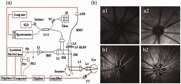 Figure 1.