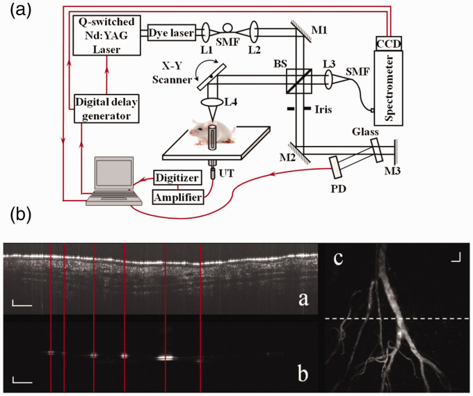 Figure 2.