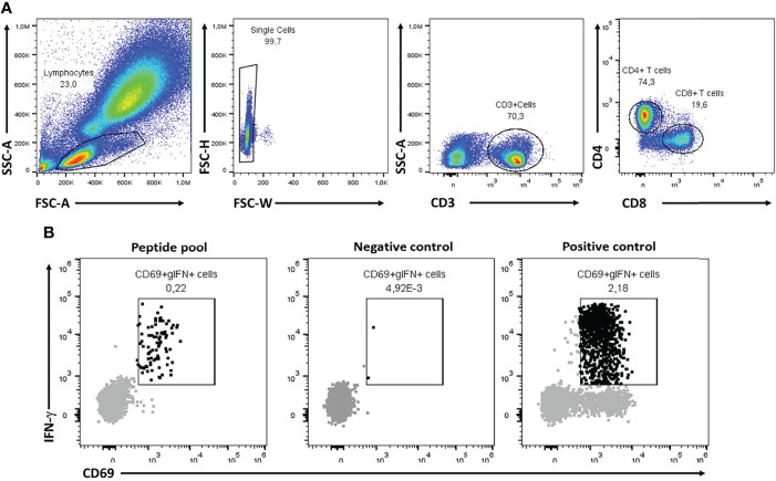 Figure 2