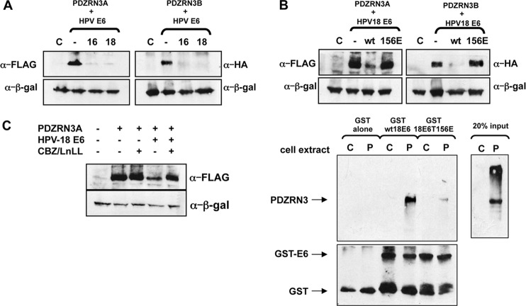 FIG 1