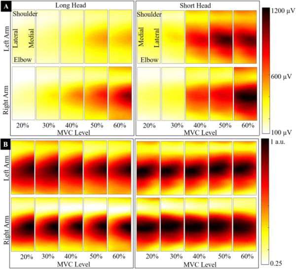 Fig. 2 :