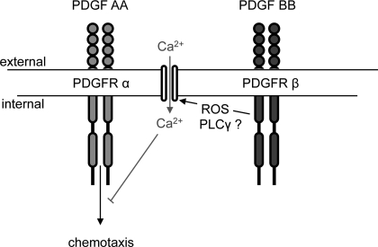 Fig. 9.