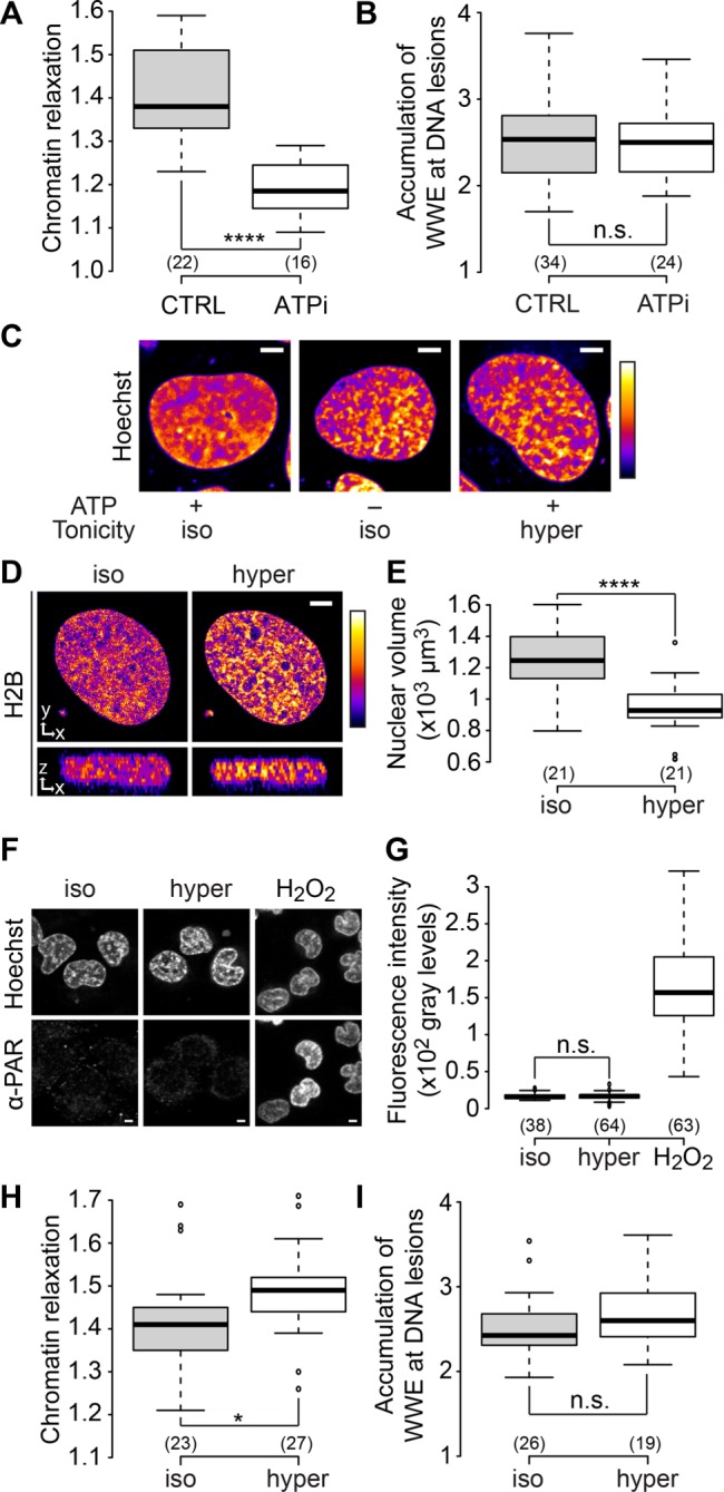 FIGURE 4: