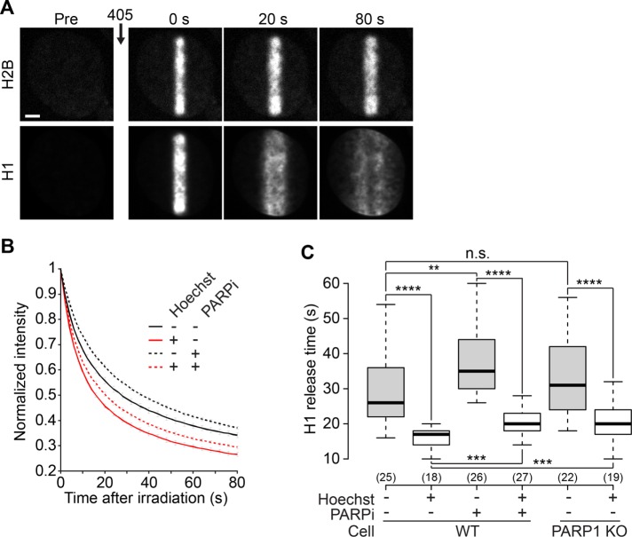 FIGURE 3: