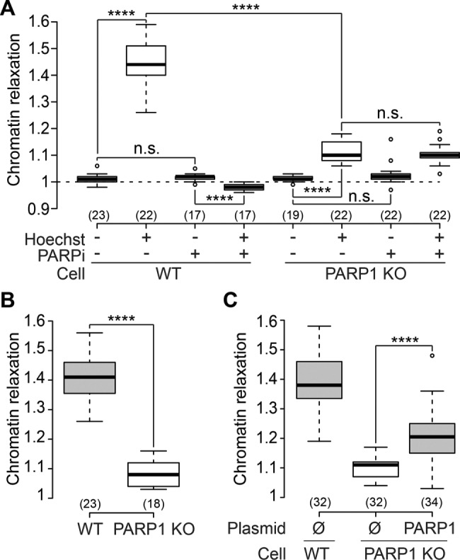 FIGURE 2: