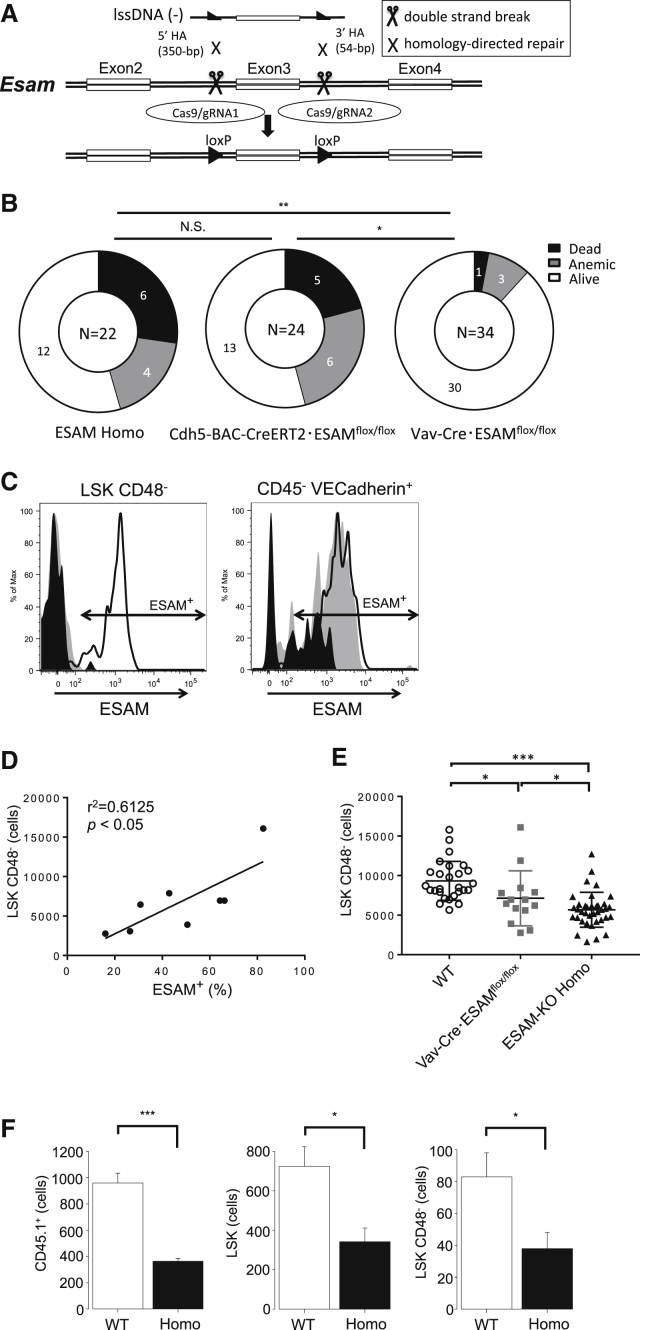 Figure 7