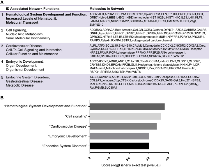 Figure 6