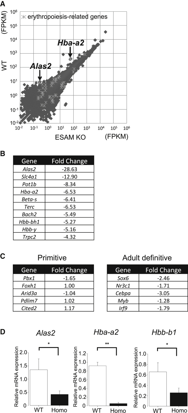 Figure 5