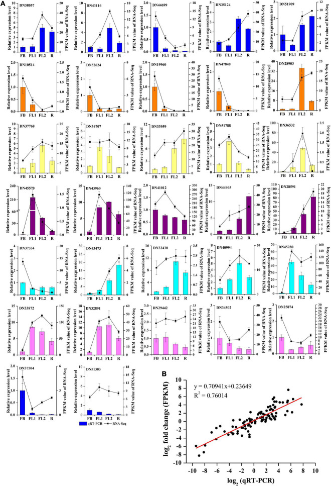 FIGURE 6