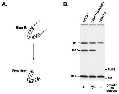 FIG. 7