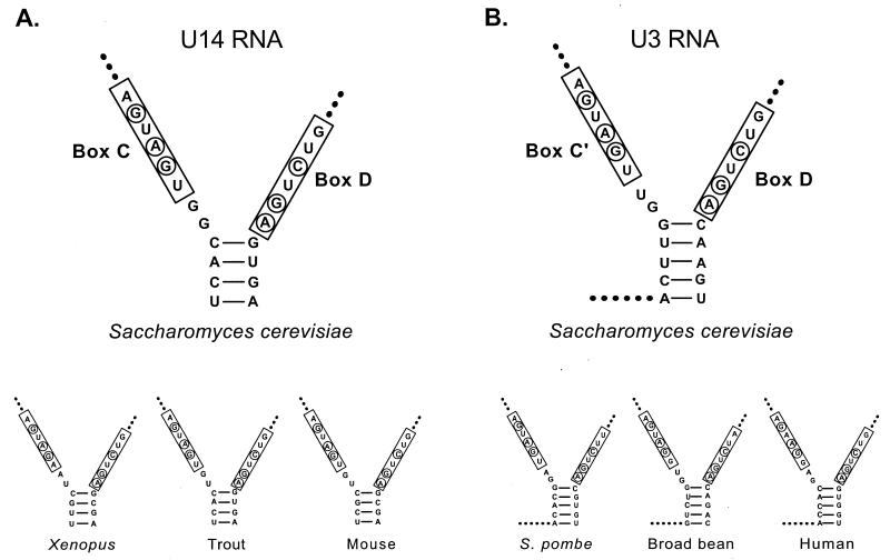 FIG. 4