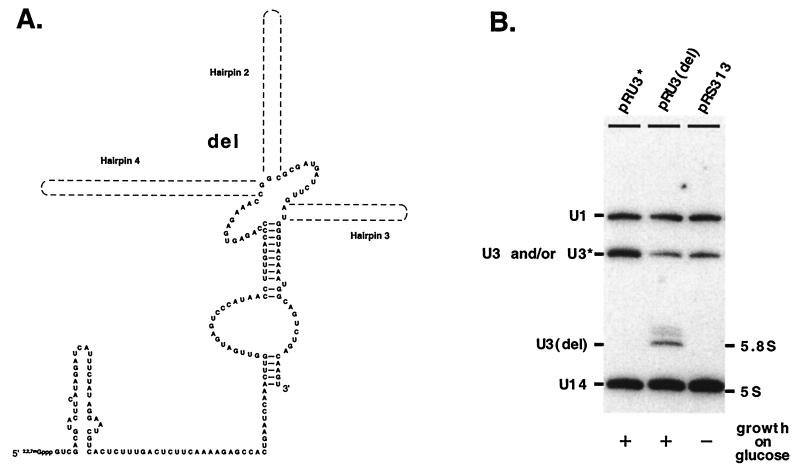 FIG. 10