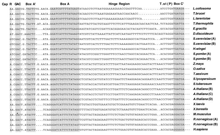 FIG. 9