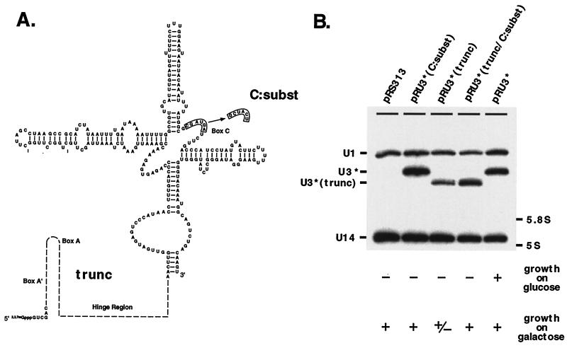 FIG. 8