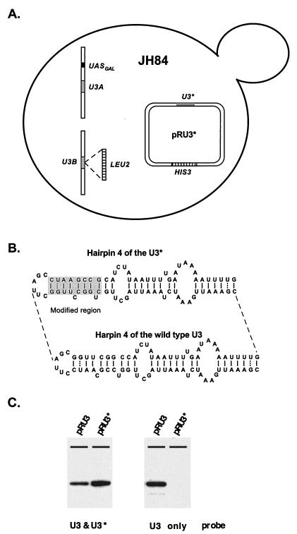 FIG. 3