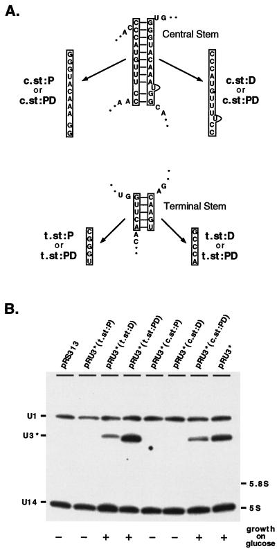 FIG. 6