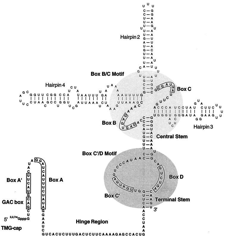 FIG. 11