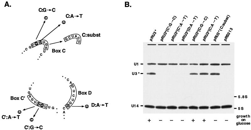 FIG. 5