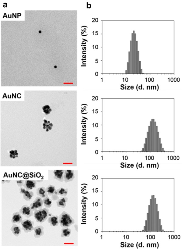 Fig. 1