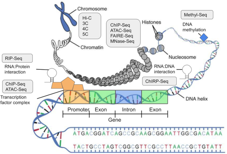 Figure 1: