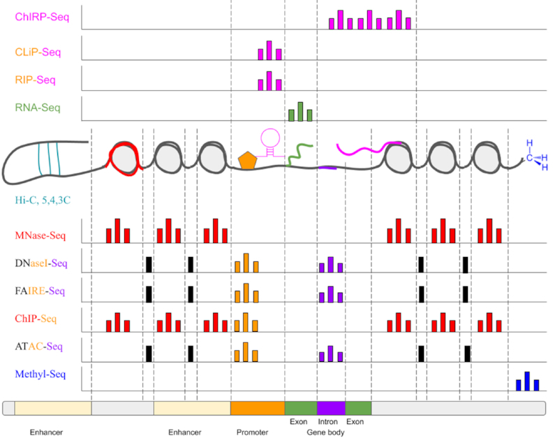 Figure 2: