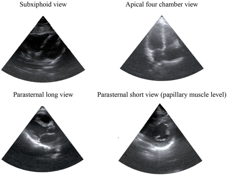 Figure 1.