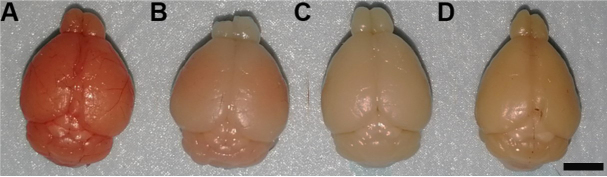 Figure 7.