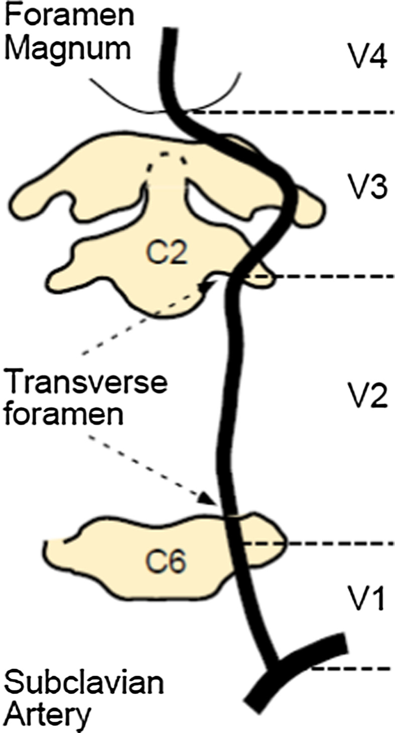 Fig. 1