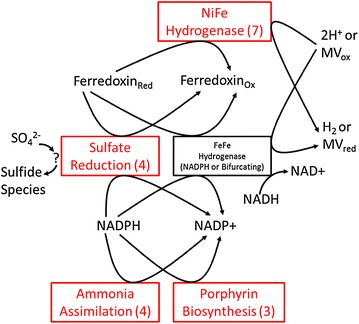 Fig. 3