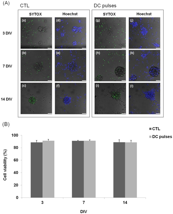 Fig 5