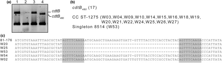 FIGURE 2